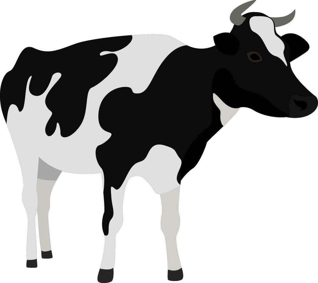 Black and white cow, illustration, vector on white background