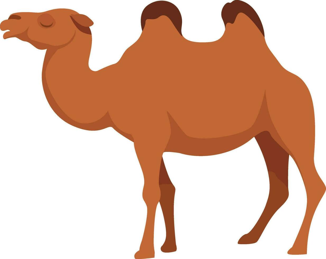 Brown camel, illustration, vector on white background