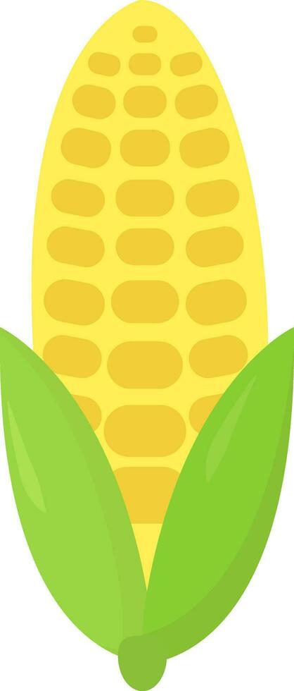 Yellow corn, illustration, vector on white background.