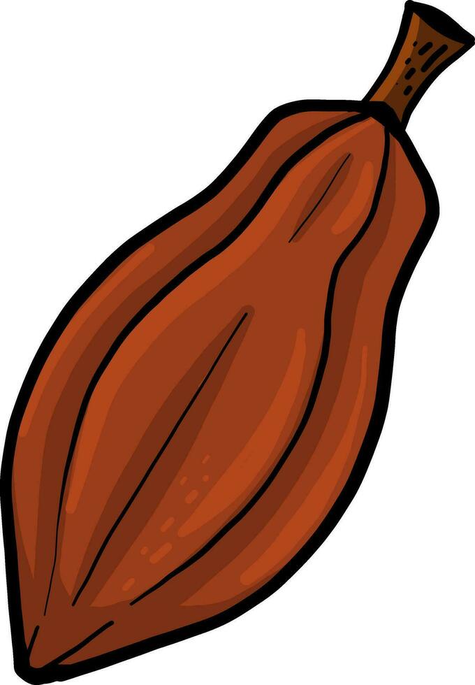Brown cacao bean, illustration, vector on white background
