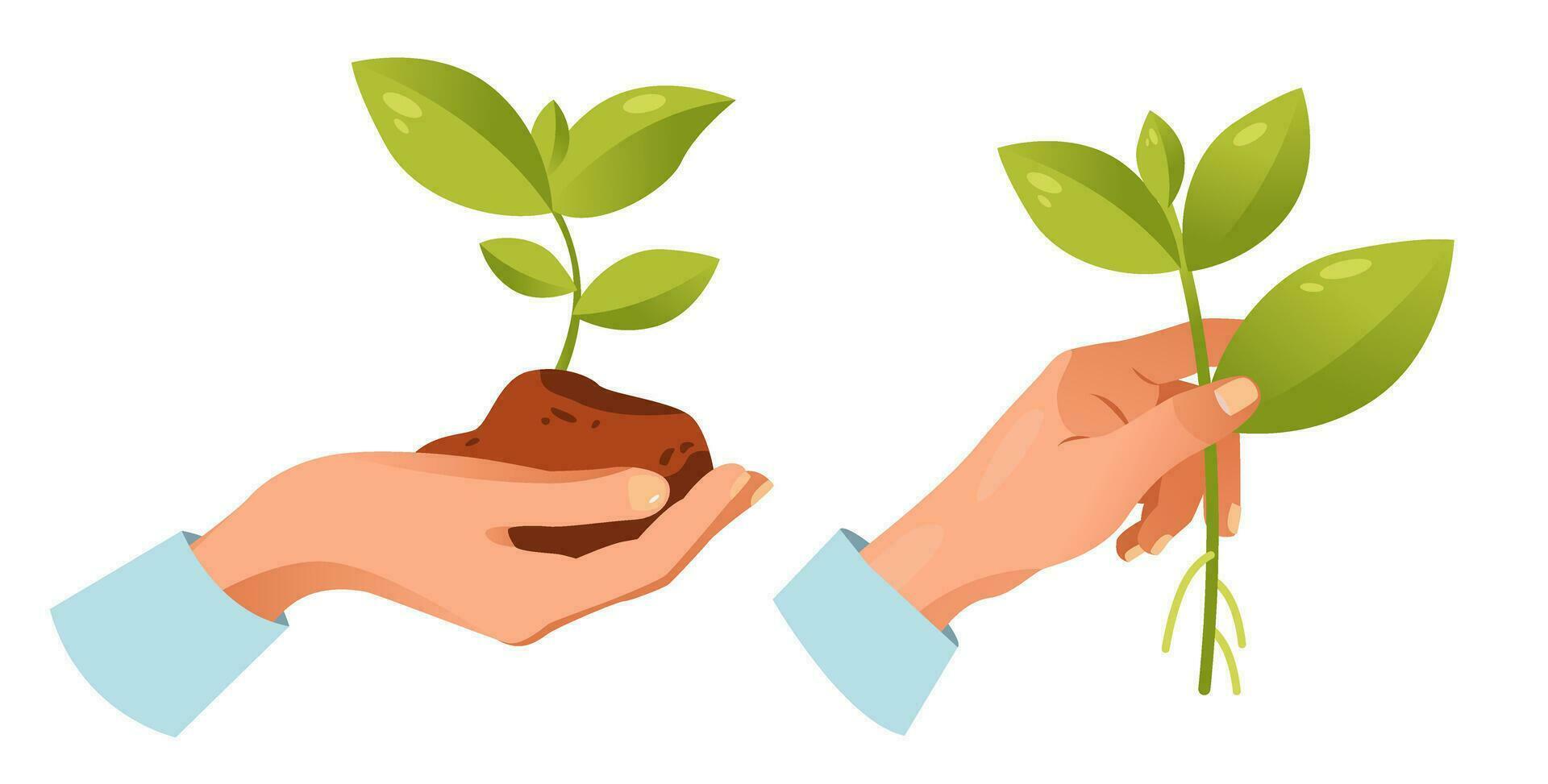 un mano sostiene un planta brote. eco vida, verde energía. ecología concepto. dibujos animados vector ilustración.