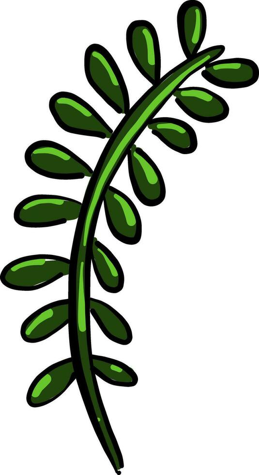 Fern plant, illustration, vector on white background