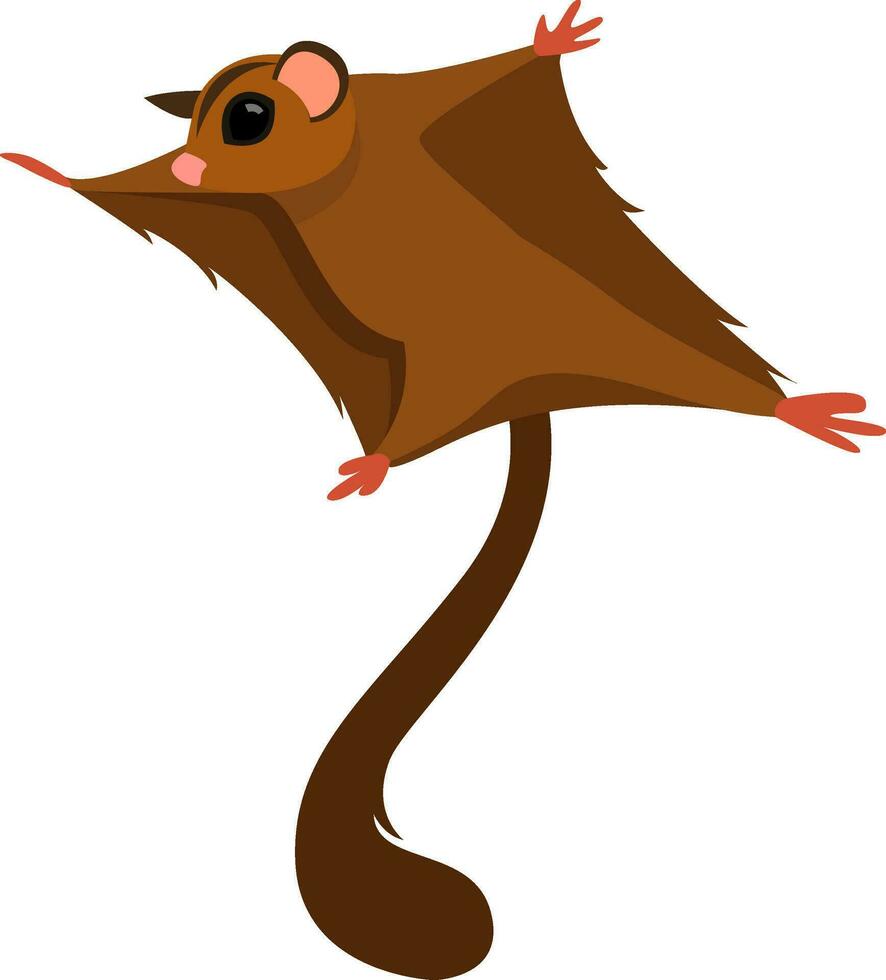 Flying squirrel, illustration, vector on white background