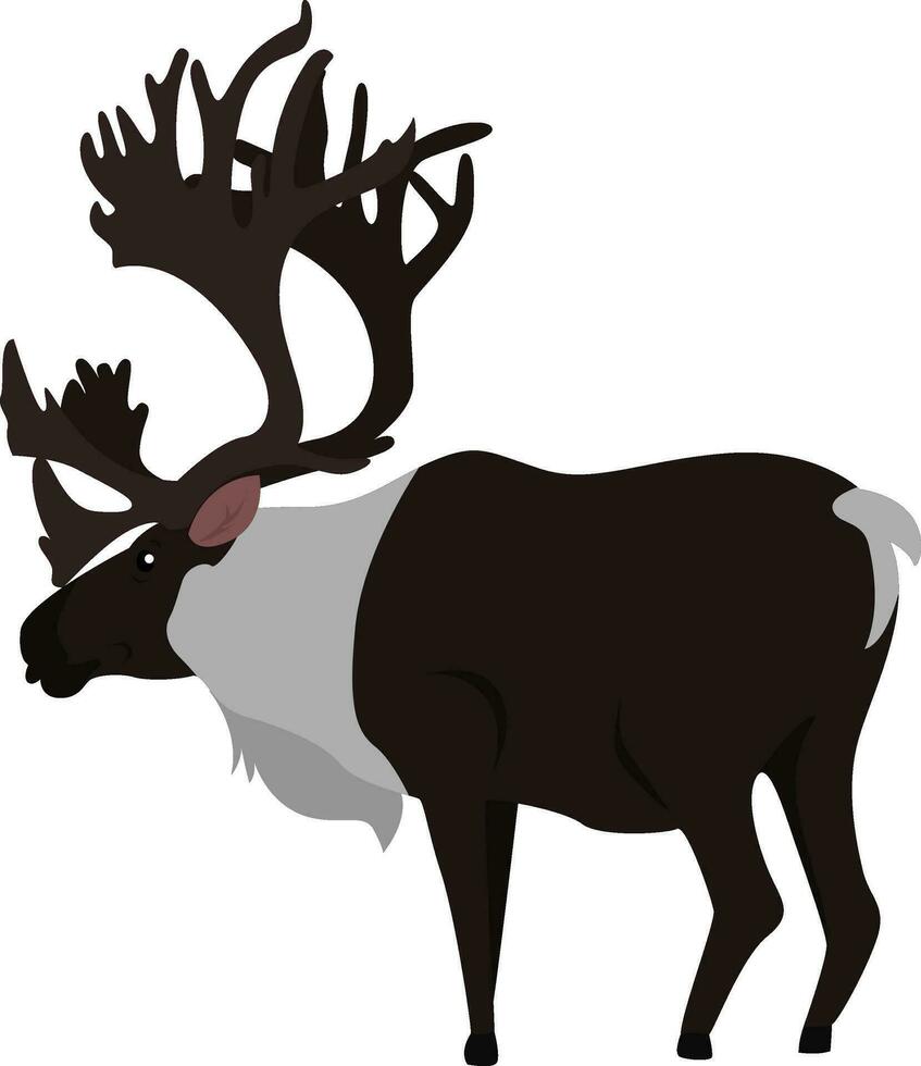 Deer with big horns, illustration, vector on white background