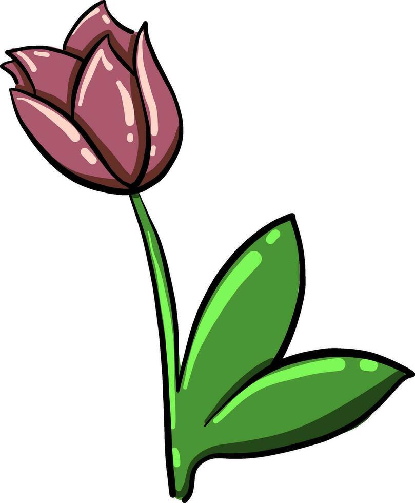 Pink tulip, illustration, vector on white background