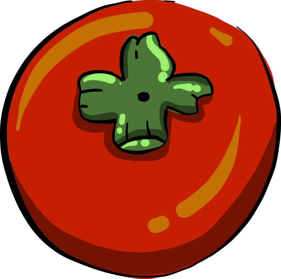 Tomato from the top, illustration, vector on white background