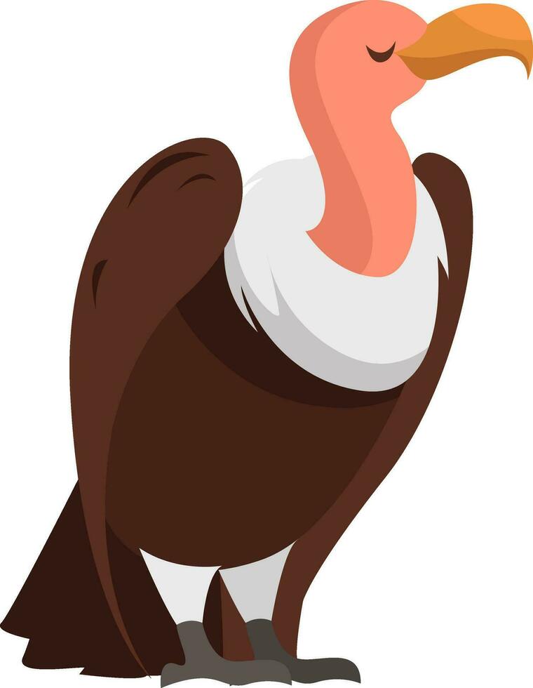 Brown vulture, illustration, vector on white background