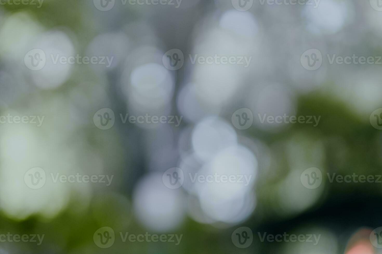 Abstract blurred green color for background. Blurred and defocused effect spring concept for design. Nature view of blurred greenery background in garden. Fresh wallpaper concept. photo