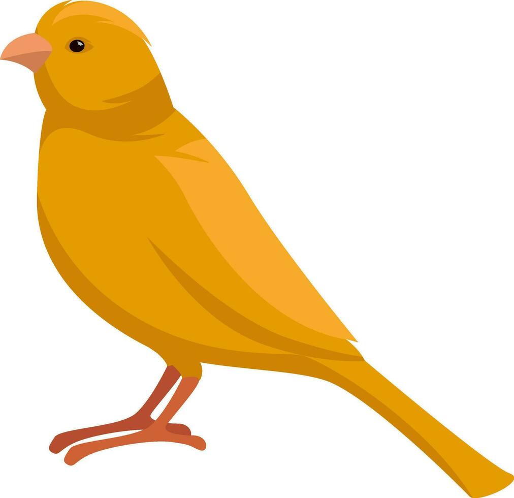 Yellow canary, illustration, vector on white background