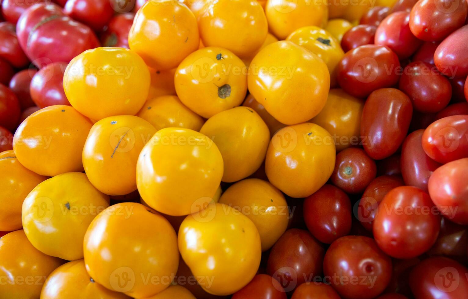 Bunch of colorful tomatoes photo