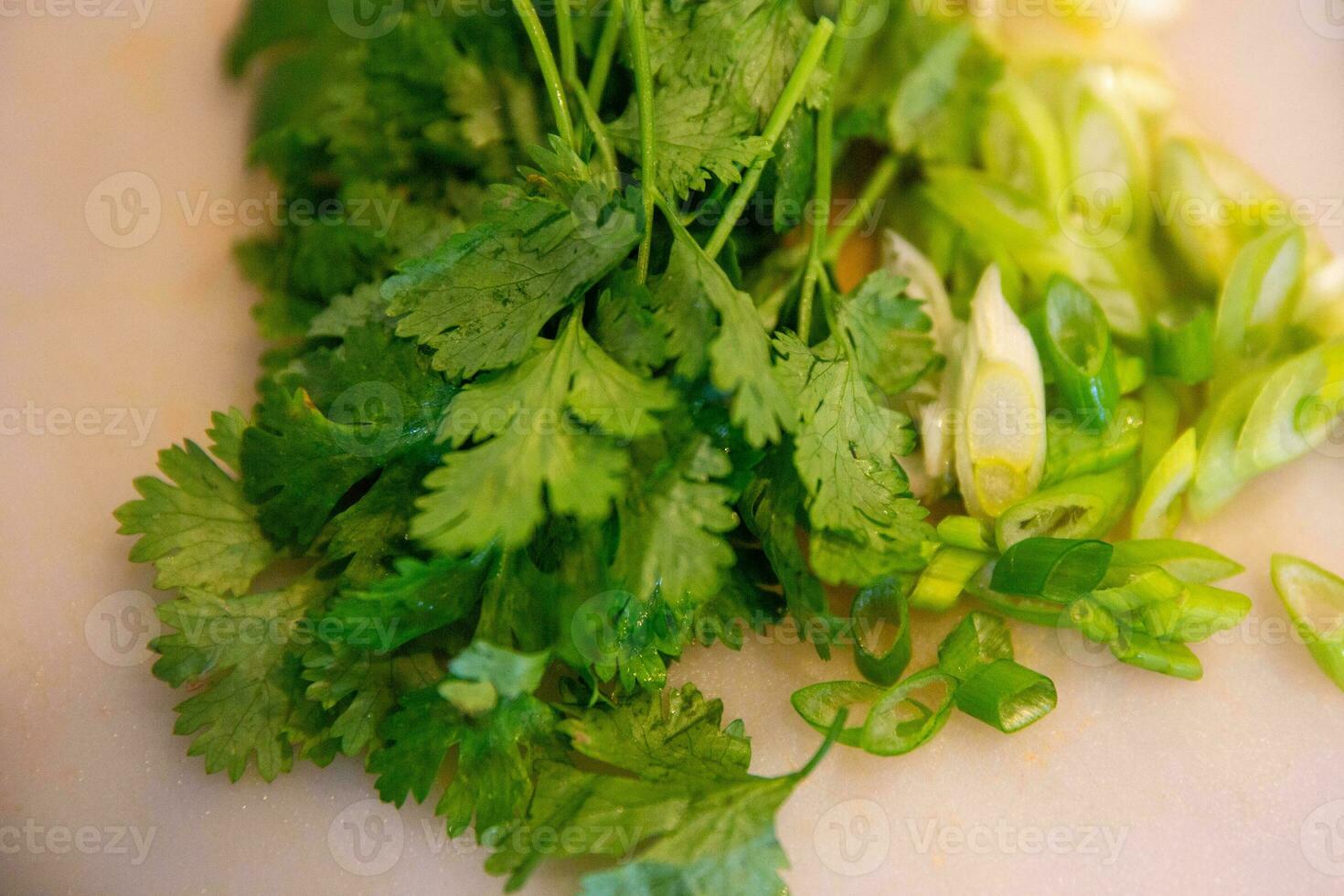 Cilantro and Green Onion photo