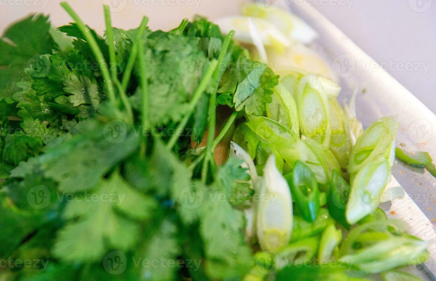 Cilantros and Green Onions photo