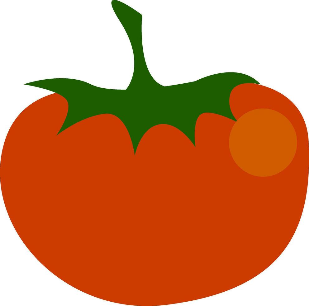 A red colored fruit vector or color illustration