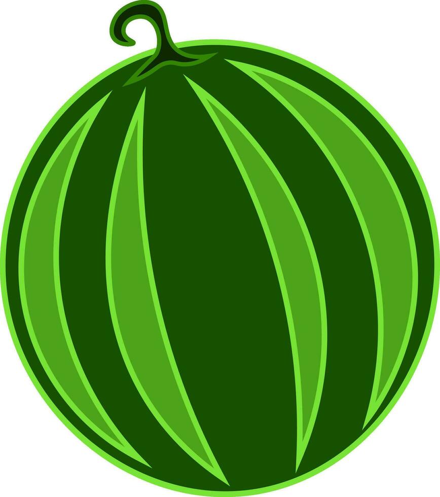 A round watermelon vector or color illustration