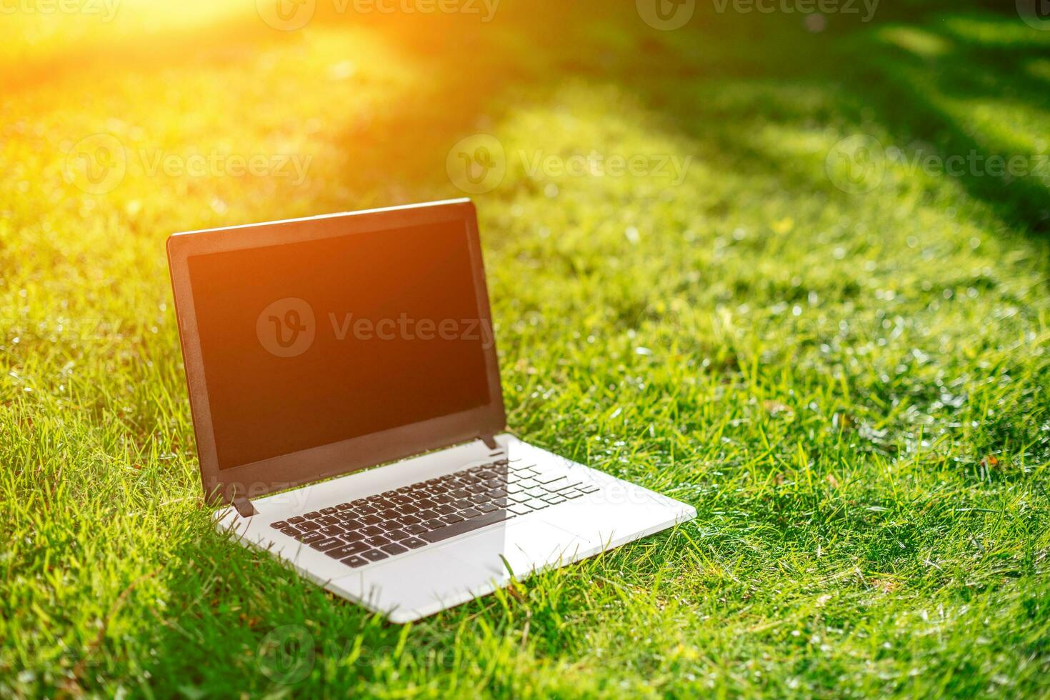 Laptop with blank screen on green lawn photo