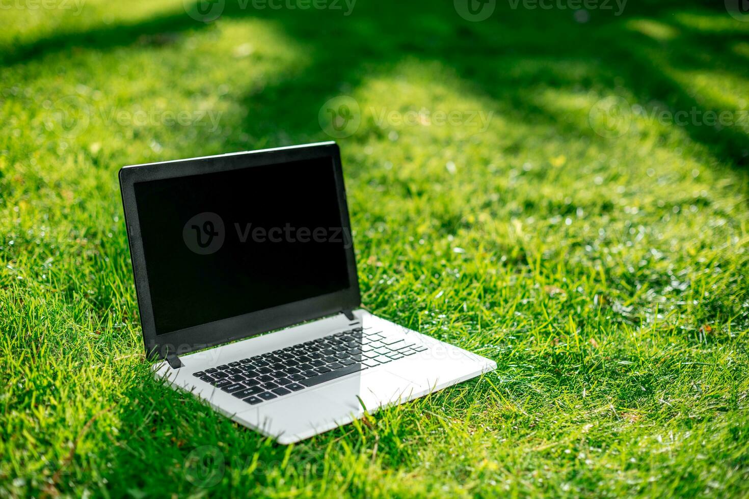 Laptop with blank screen on green lawn photo