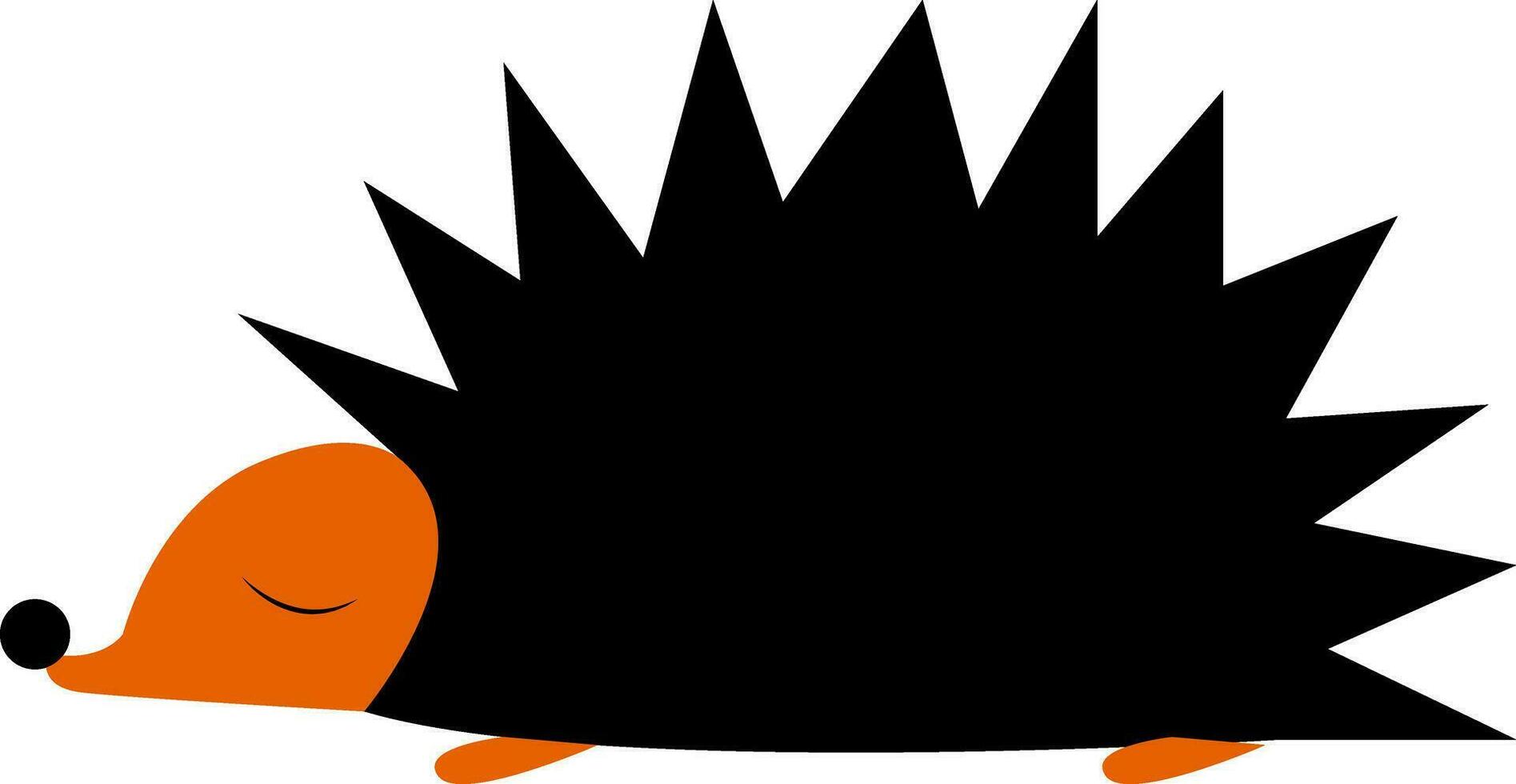 A hedgehog vector or color illustration