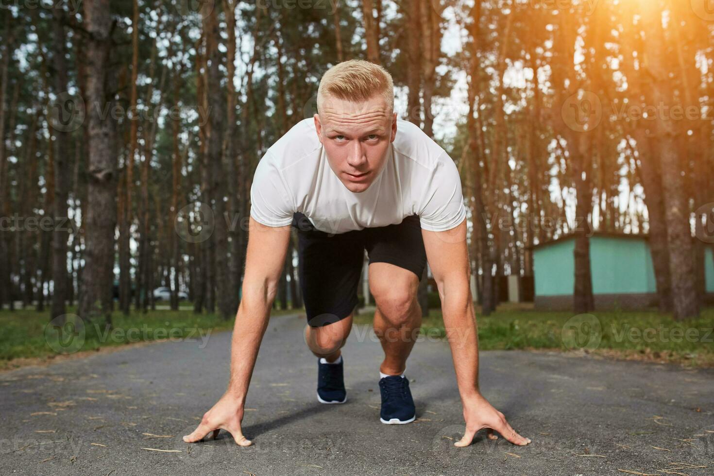 Run in the forest photo