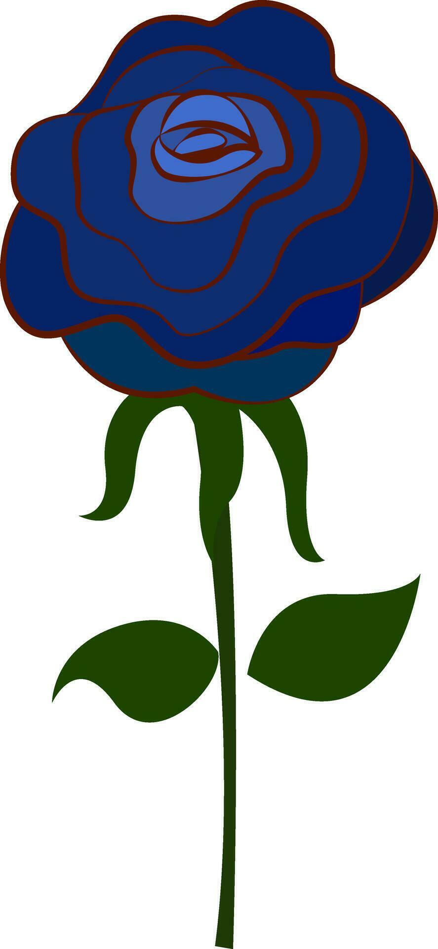 Blue rose, illustration, vector on white background. 35420599 Vector
