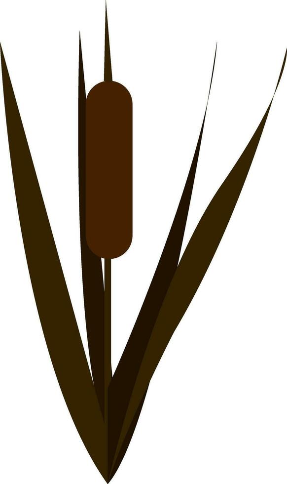 A green bamboo vector or color illustration