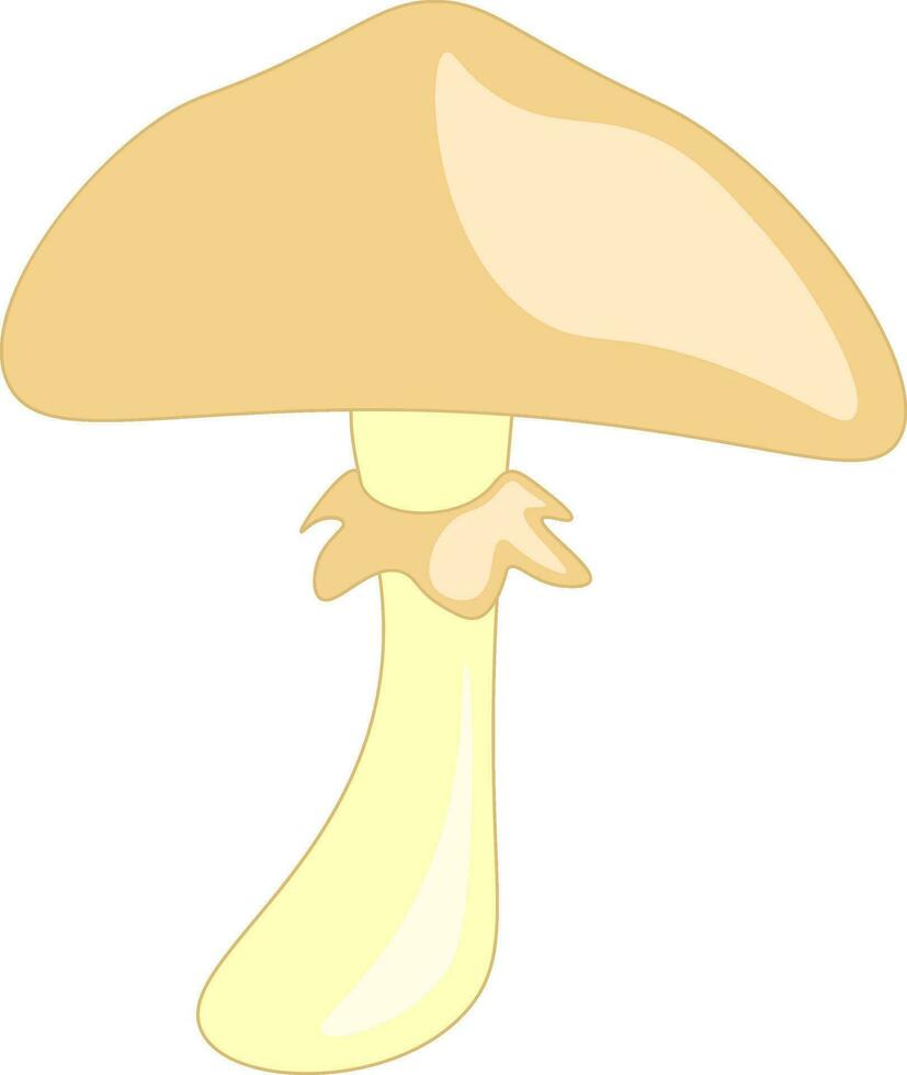 An umbrella shaped fungi vector or color illustration