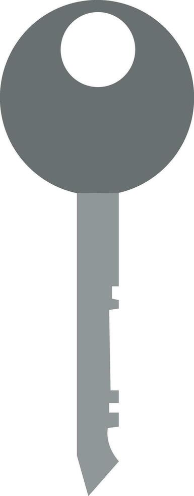 grey key vector or color illustration