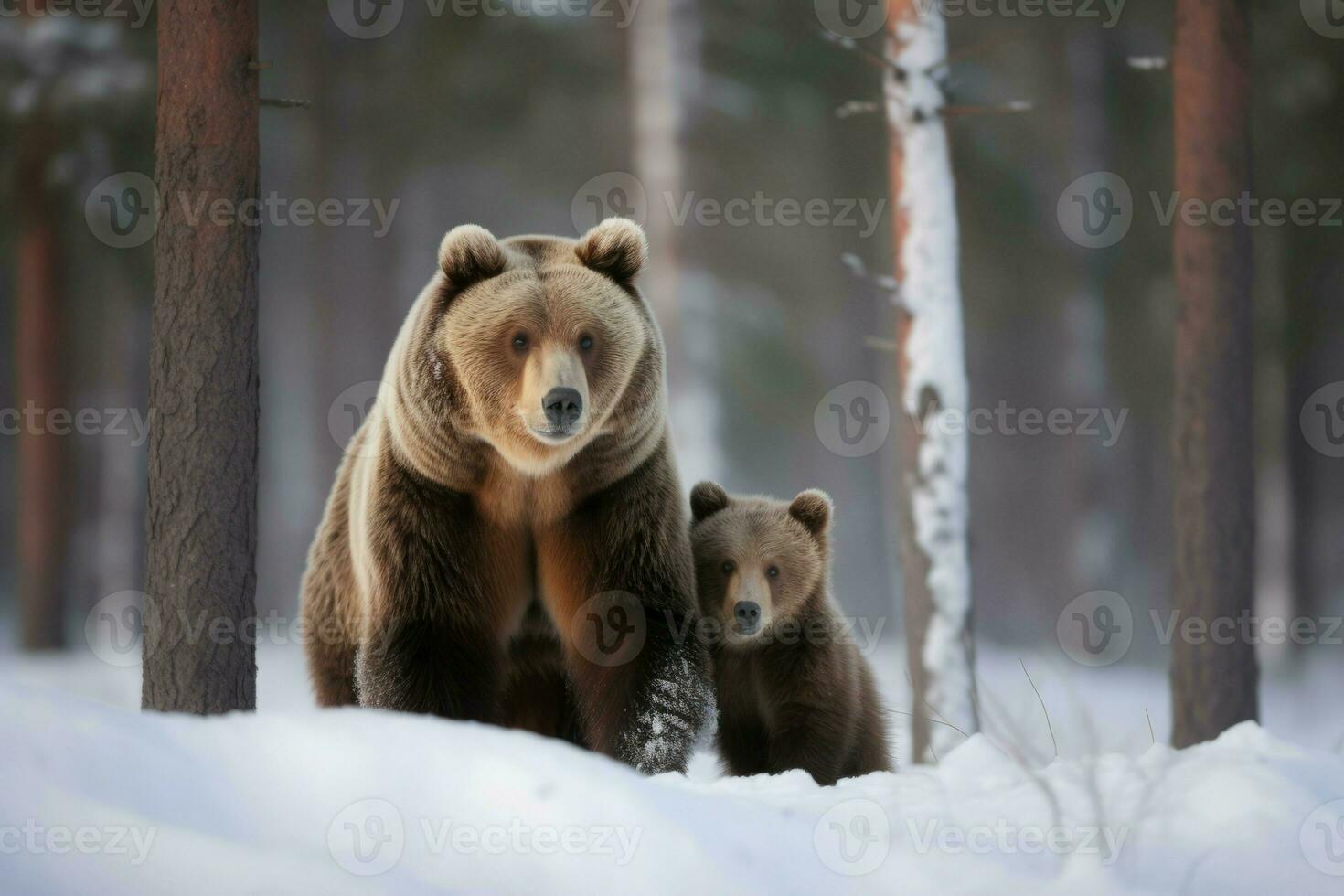 AI generated Brown bear with cute cub in winter forest. Generate ai photo