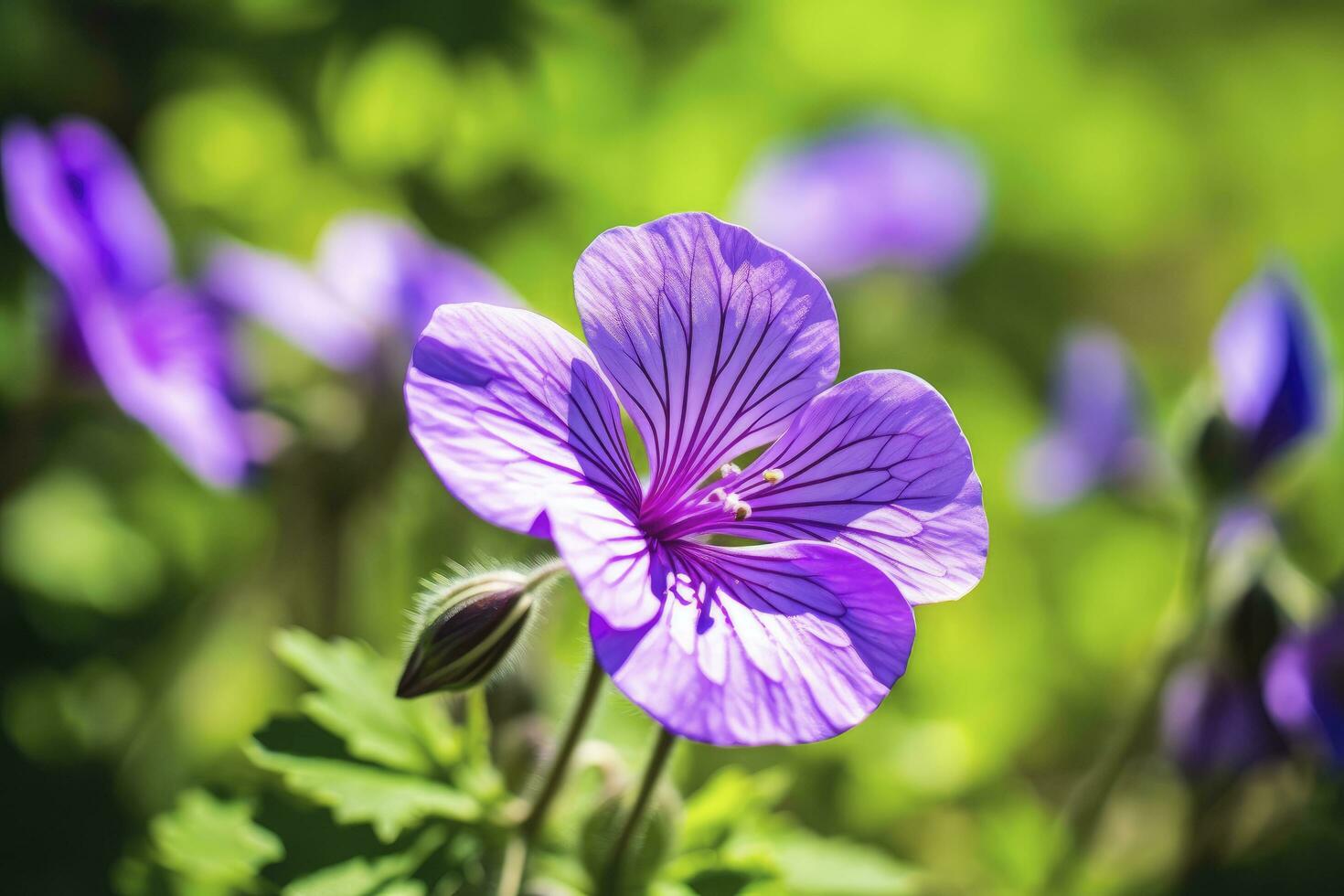 AI generated Geranium wilfordii flower. photo