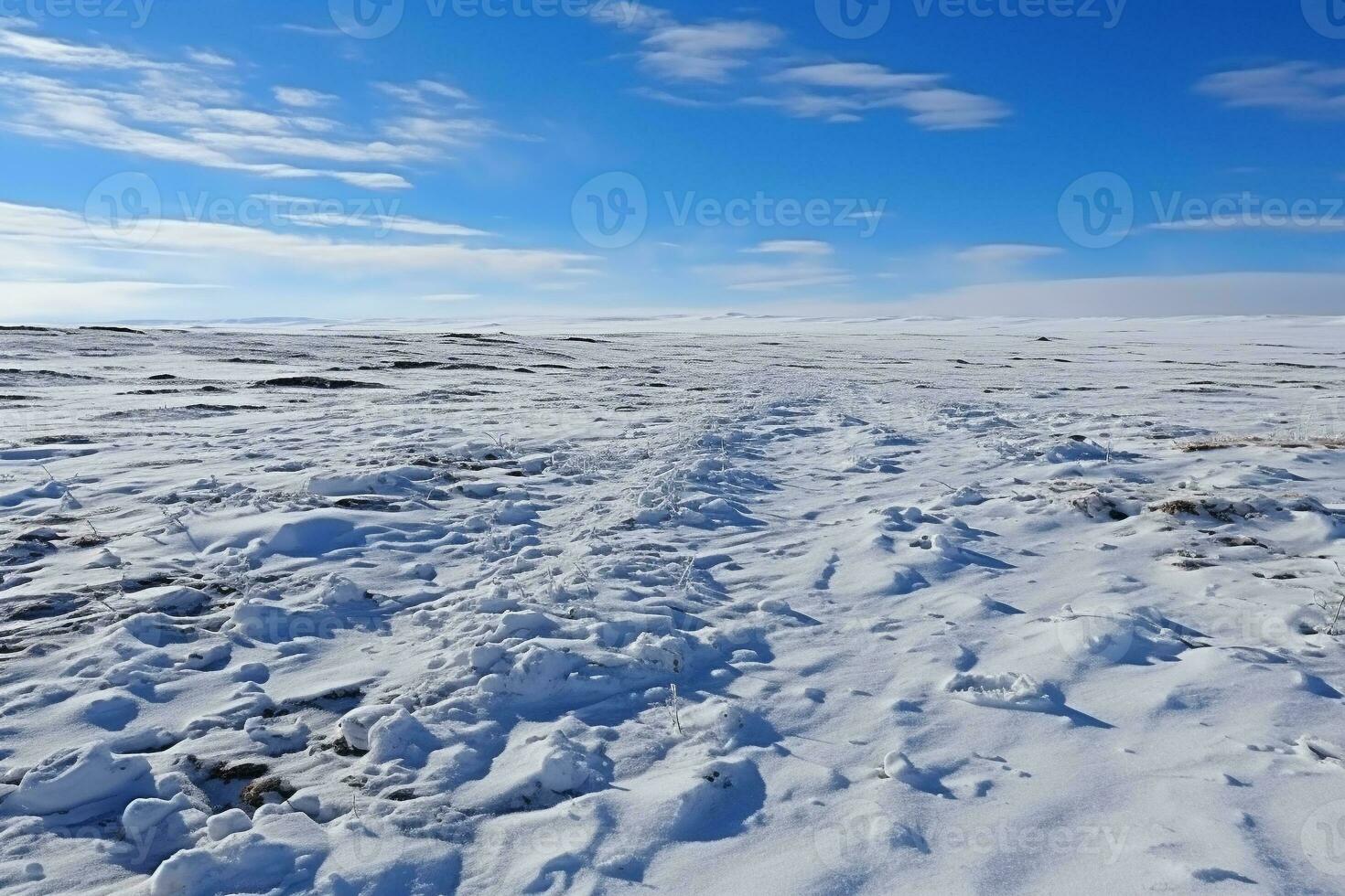 AI generated Endless snow-covered steppe under a cloudy sky. Dry plants stick out from under the snow. Snowy mountains on the horizon photo