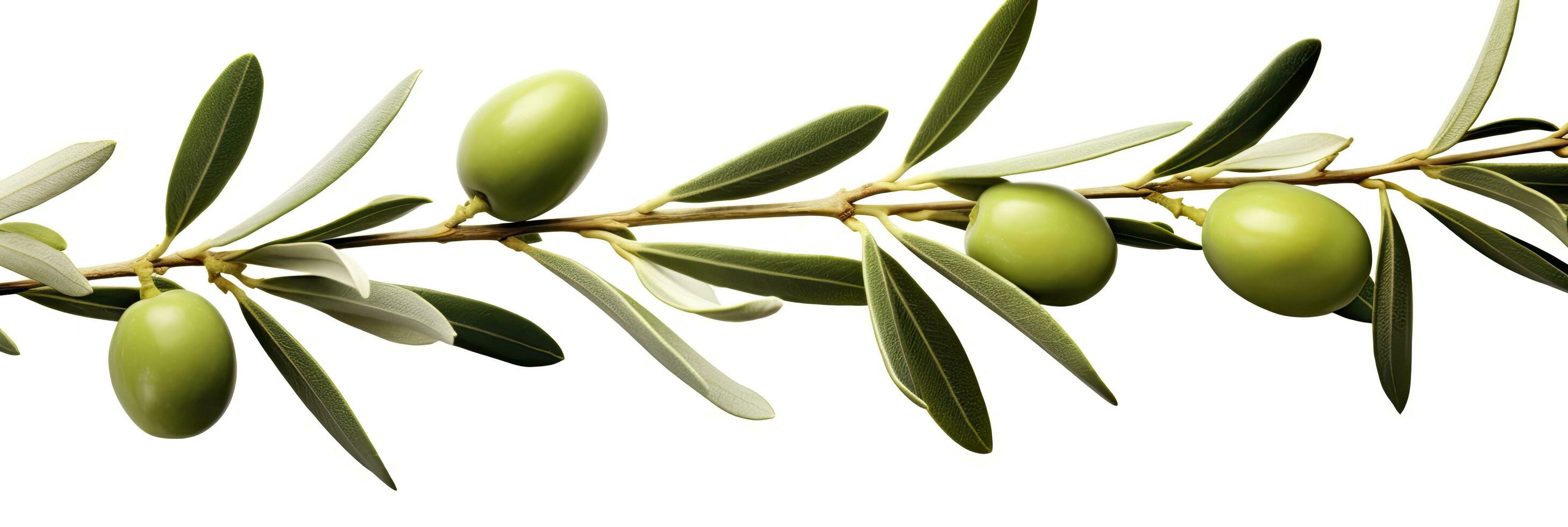 AI generated Olive tree branch, green olives and leaves on white background. AI Generated. photo