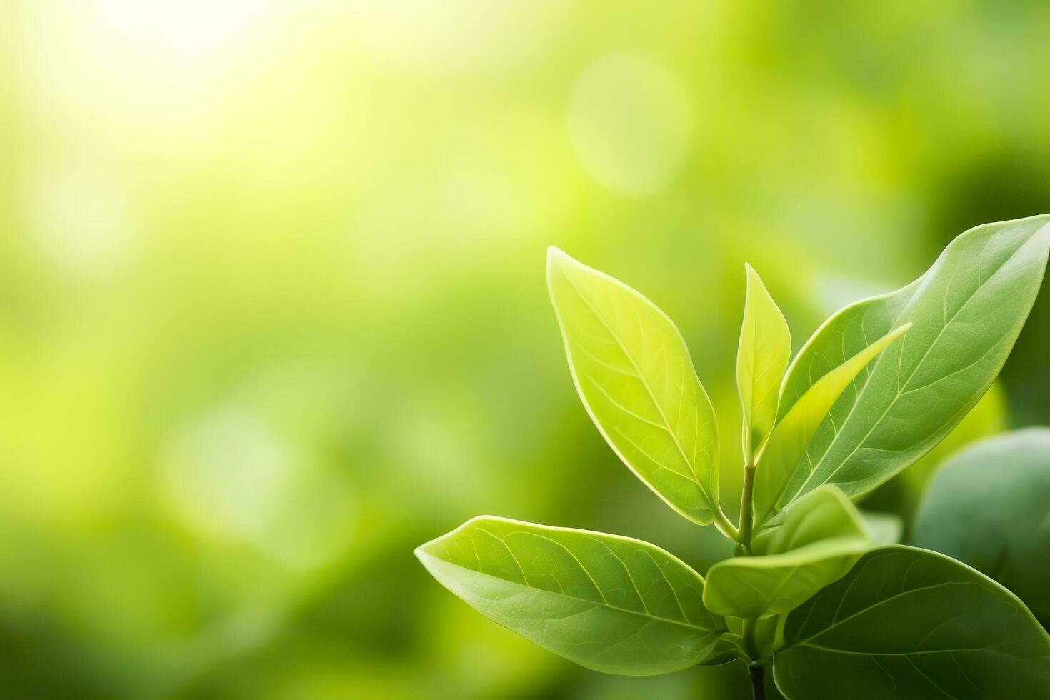 AI generated Nature of green leaf in a garden in summer under sunlight. Spring background. AI Generated photo