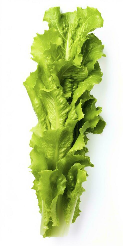 AI generated Lettuce isolated on white background. AI Generated photo