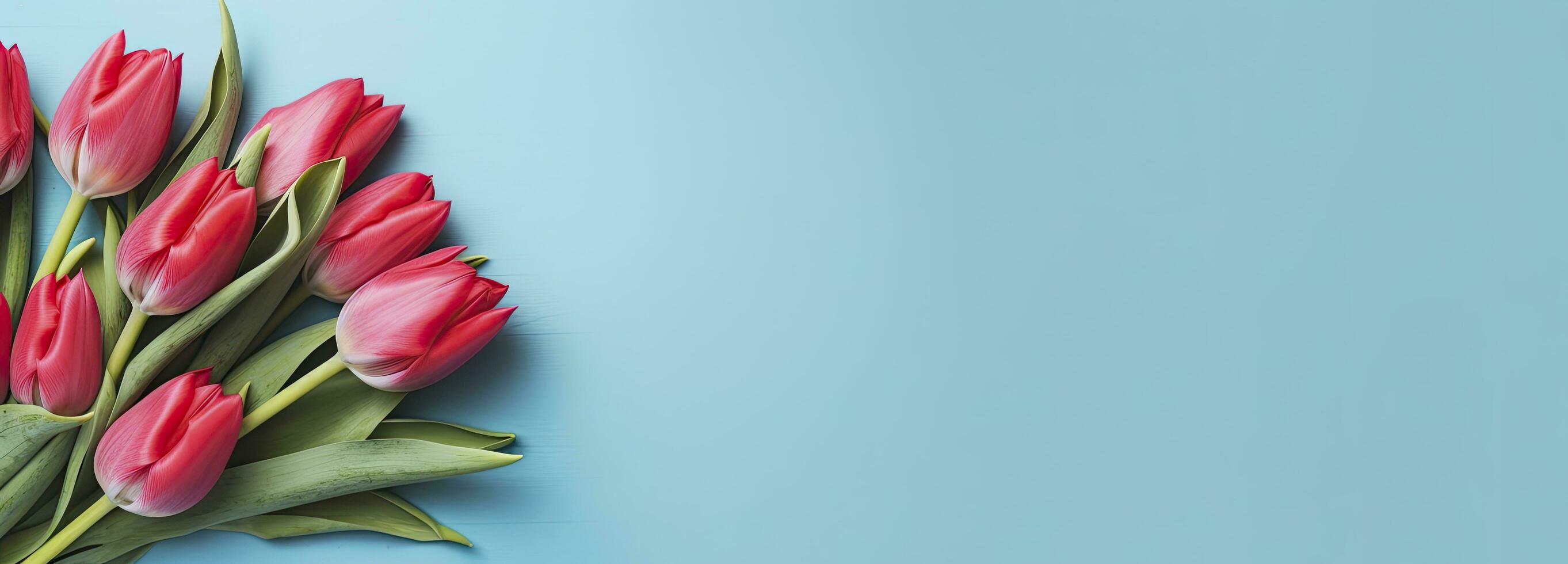 AI generated Bouquet of red tulip on blue Background. Top view with copy space. photo