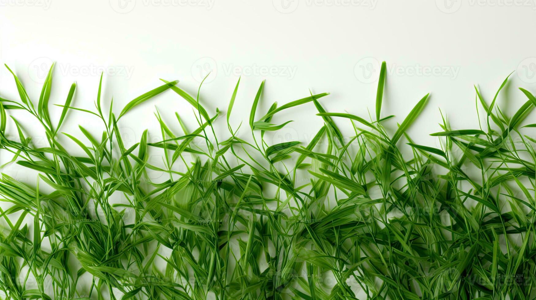 AI Generated Green grass texture on white background photo