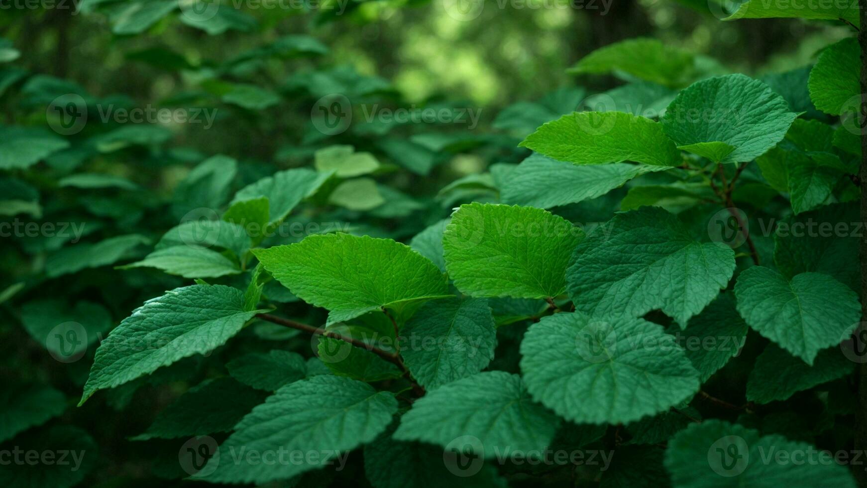 ai generado describir el intrincado interacción de Esmeralda y jade matices en el hojas de el absoluto verde árbol, enfatizando el sutilezas de ligero y sombra. foto