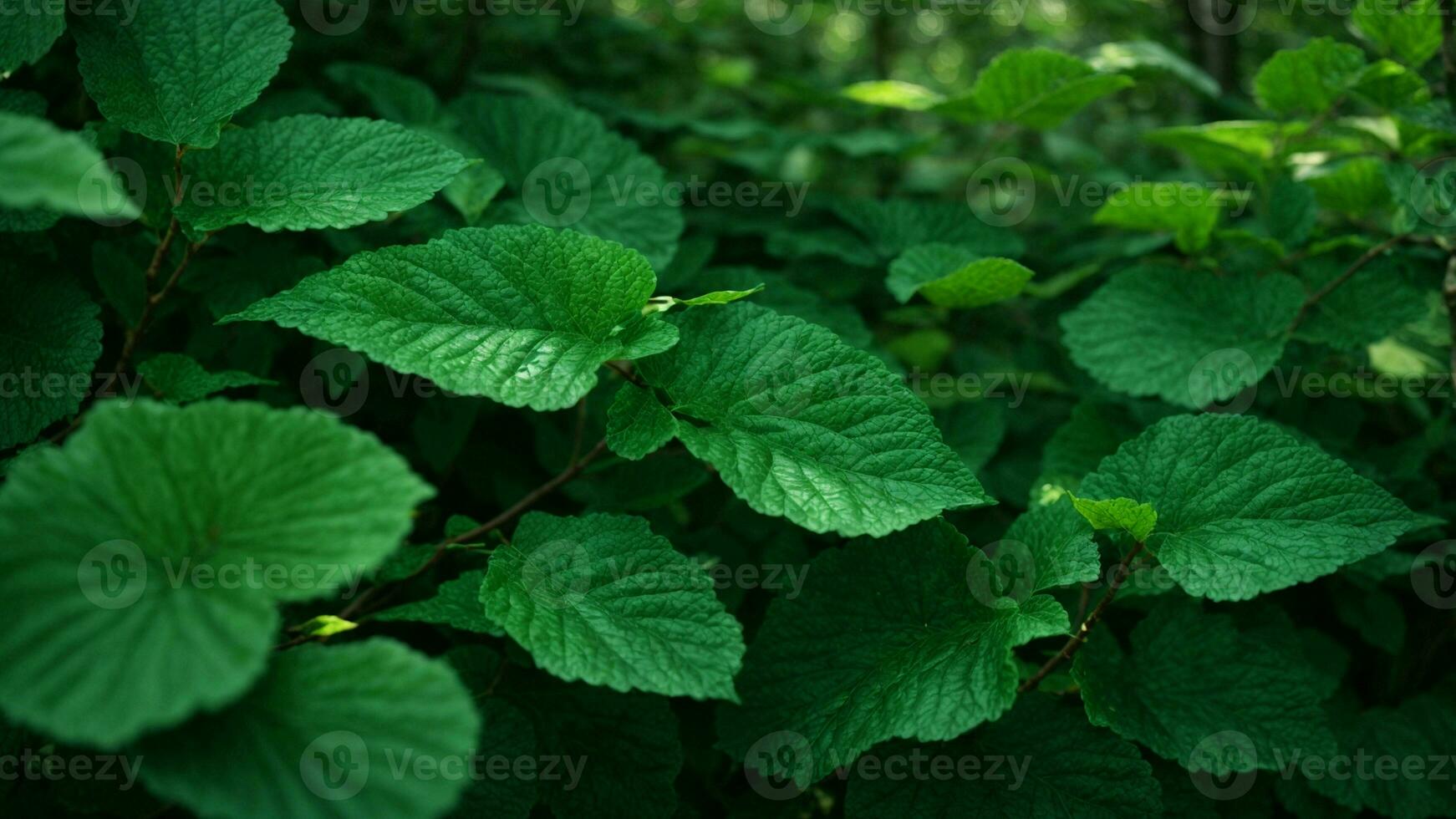 AI generated Describe the intricate interplay of emerald and jade hues in the leaves of the absolute green tree, emphasizing the subtleties of light and shadow. photo