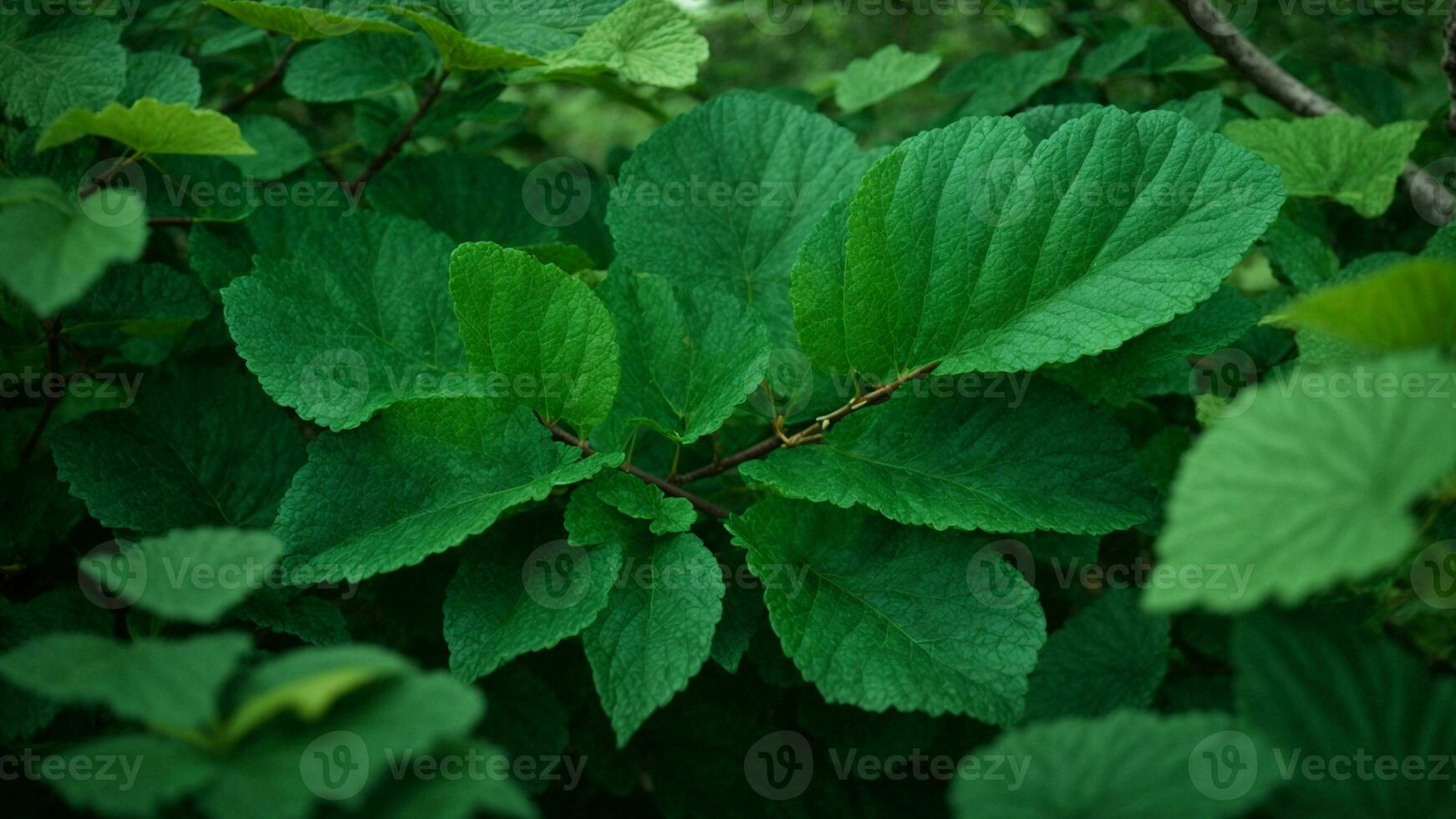 AI generated Describe the intricate interplay of emerald and jade hues in the leaves of the absolute green tree, emphasizing the subtleties of light and shadow. photo