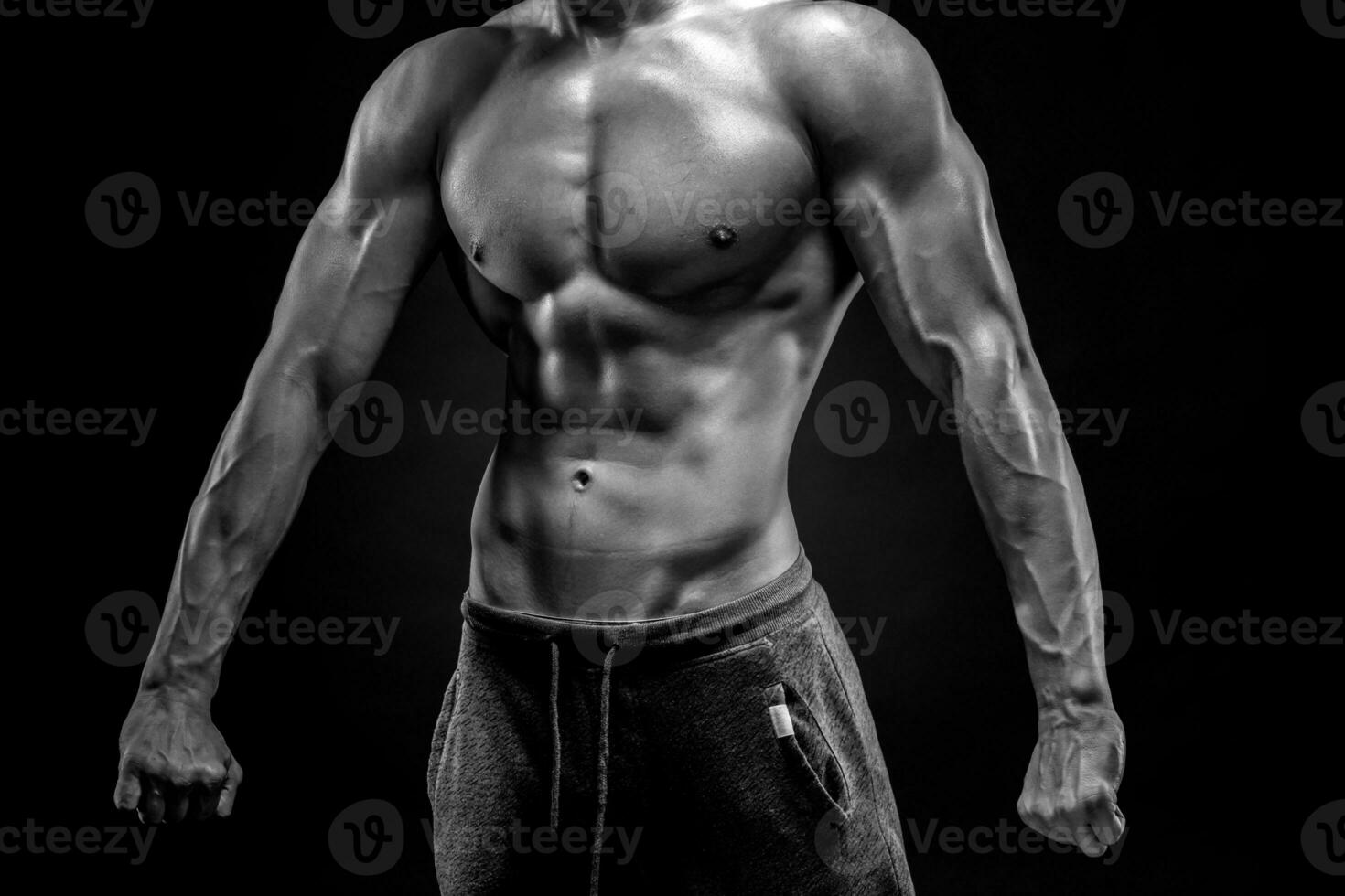 Close-up of man model torso posing showing perfect body photo