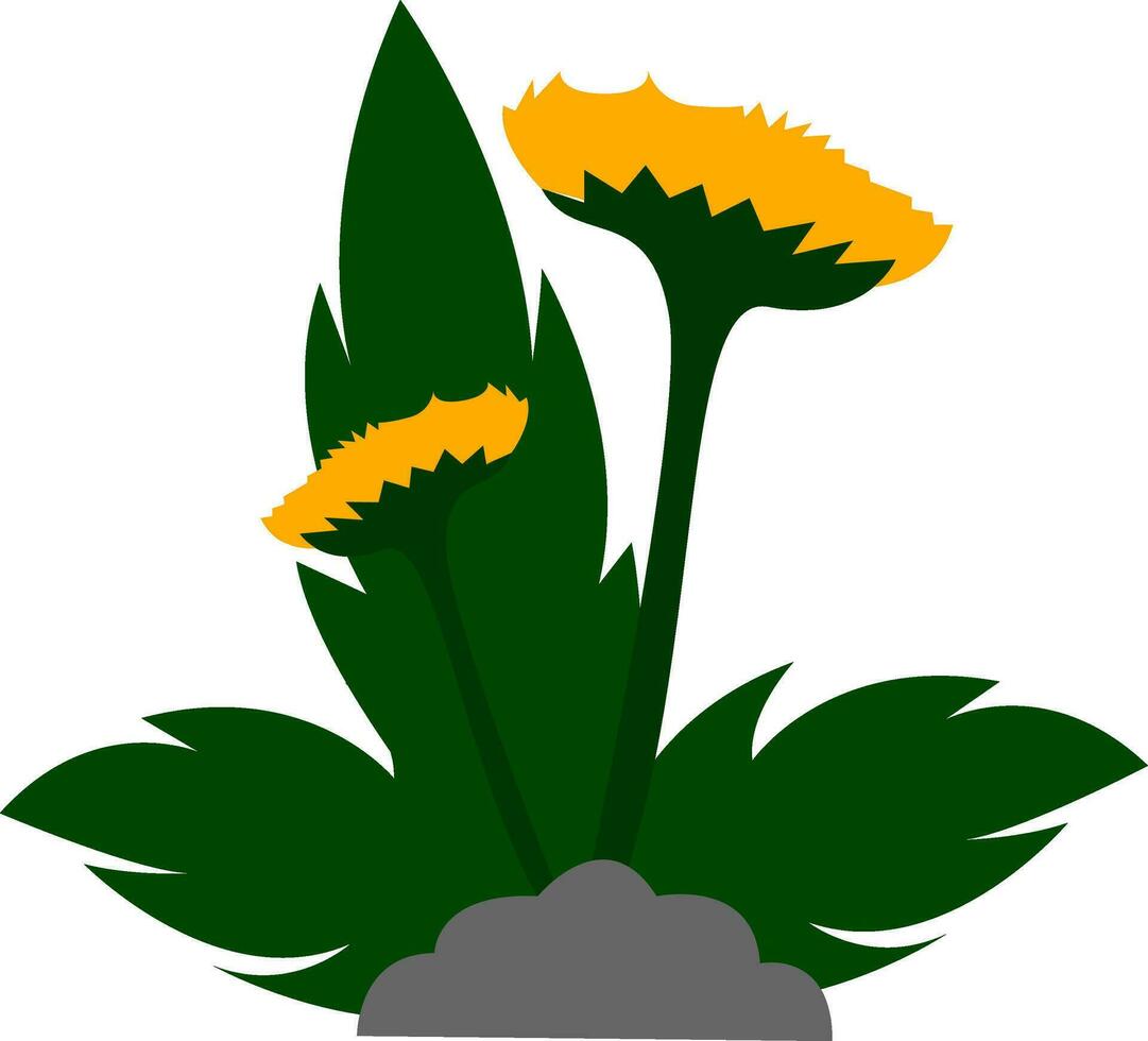 Clipart of yellow flowers with leaves grown above the soil, vector or color illustration