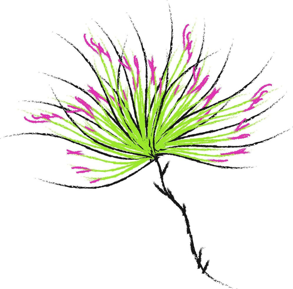 Drawing of a colorful plant, vector or color illustration