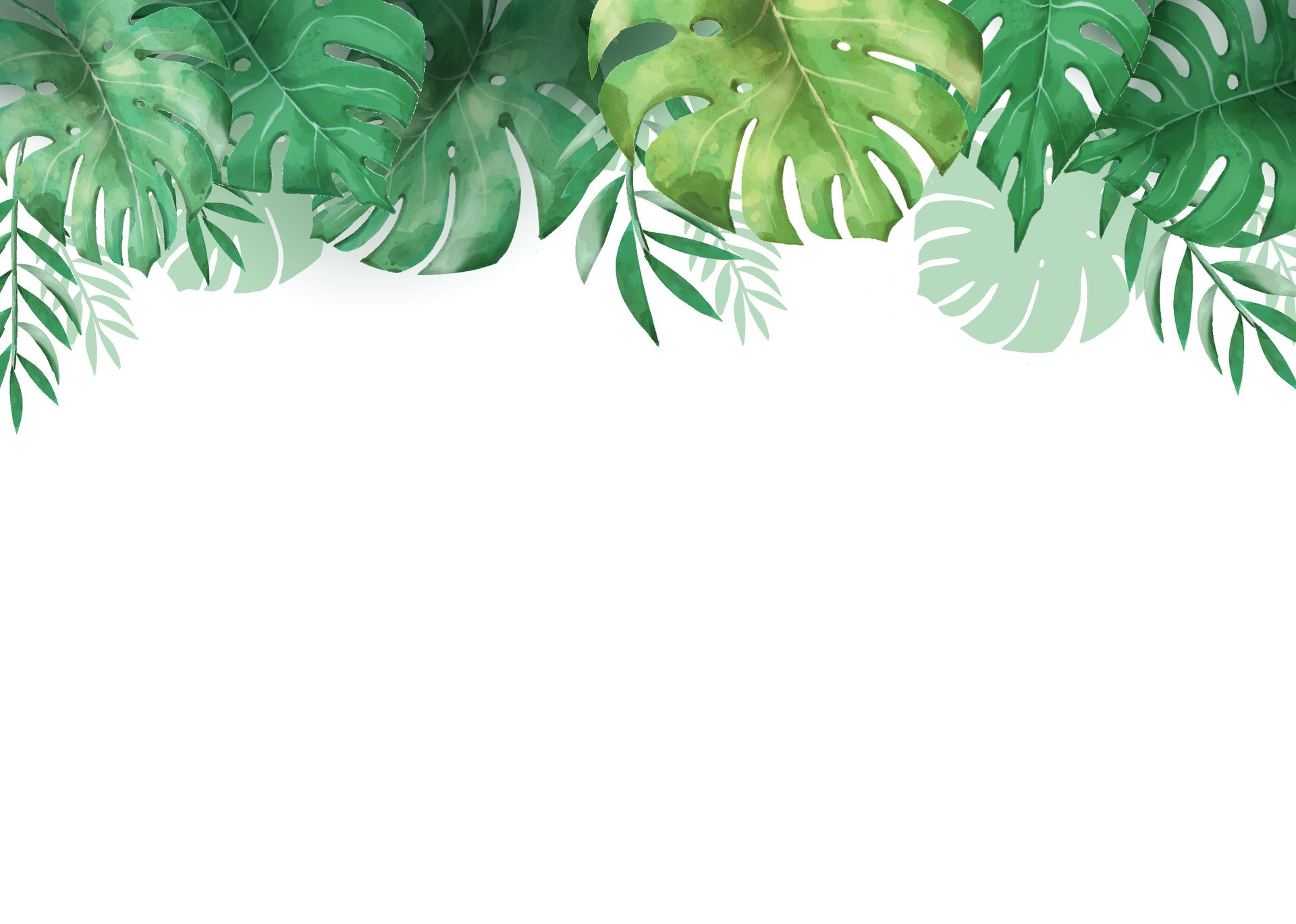 Green Monstera Leaves Border in Watercolor 35427537 Vector Art at Vecteezy