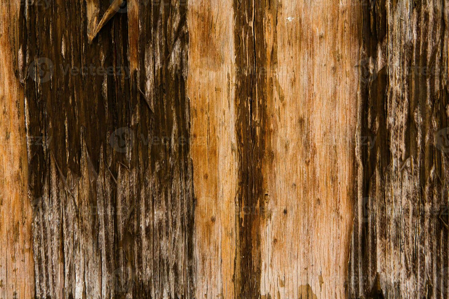 Old wood texture background, surface with old natural colored wood, top view. Grain table surface. photo