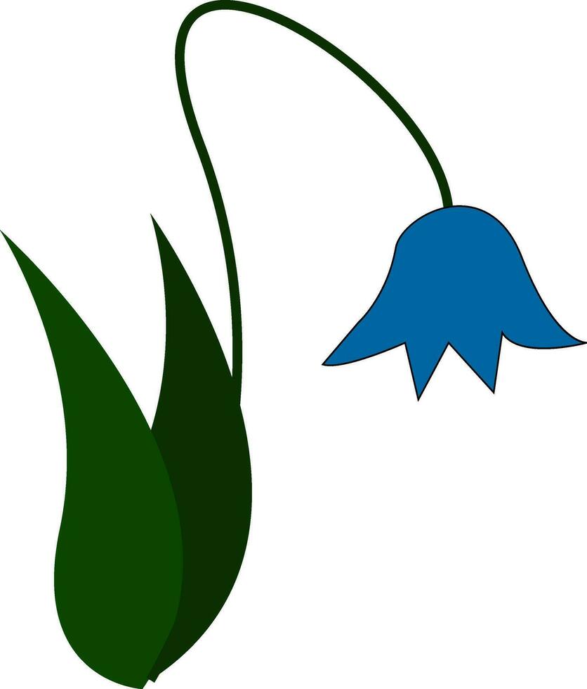 A blue flower vector or color illustration