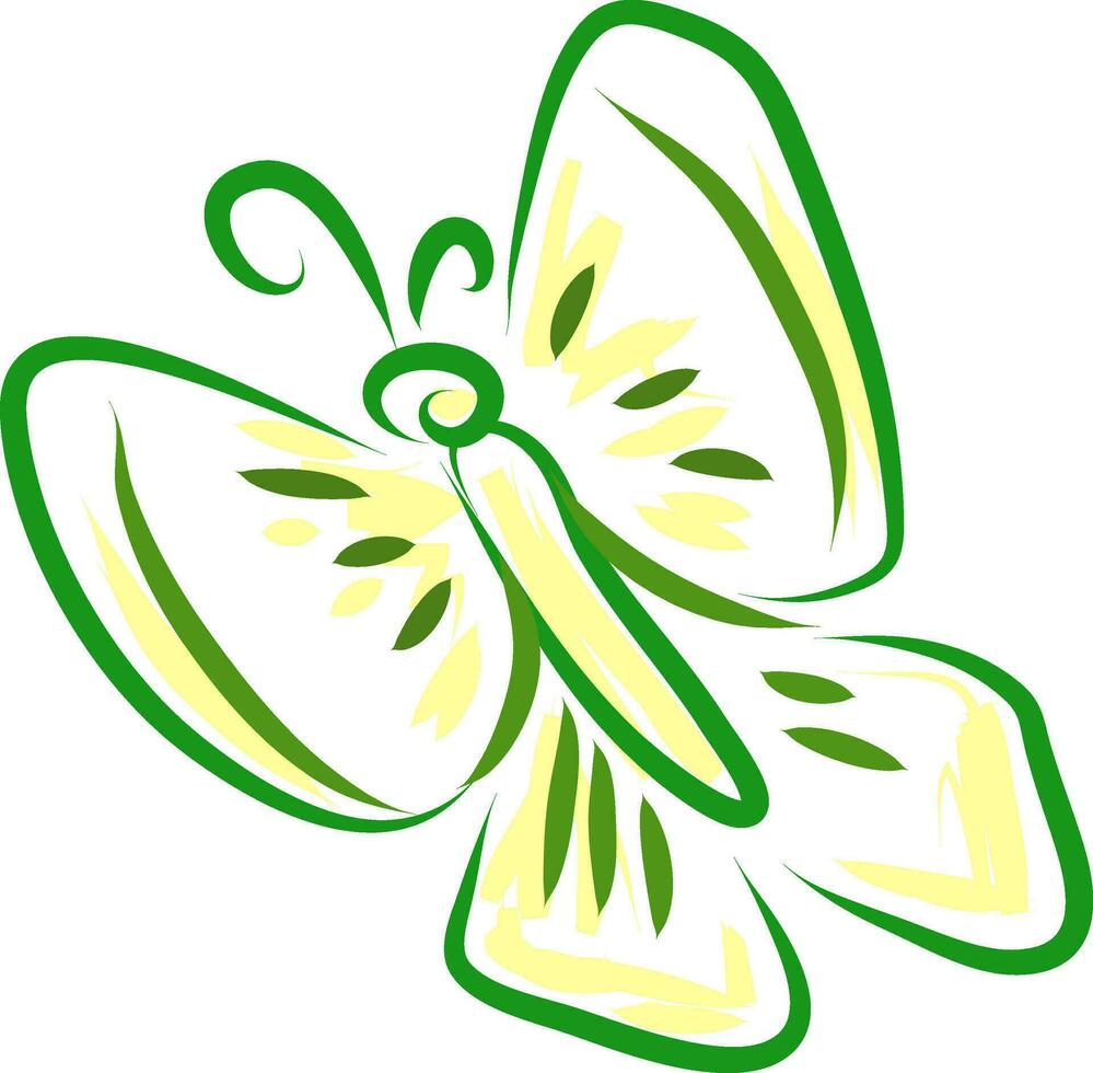 A butterfly vector or color illustration