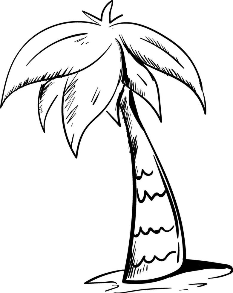 Sketch drawing of the palm tree grown above the land, vector or color illustration