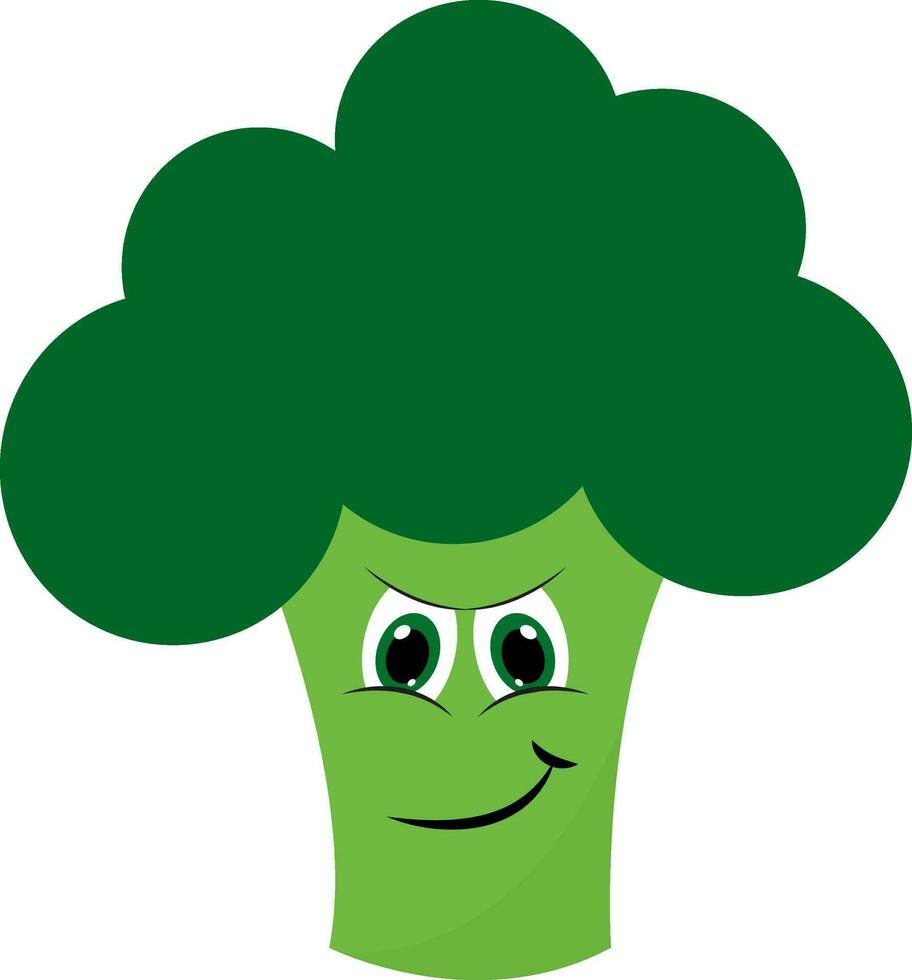 Green broccoli , vector or color illustration