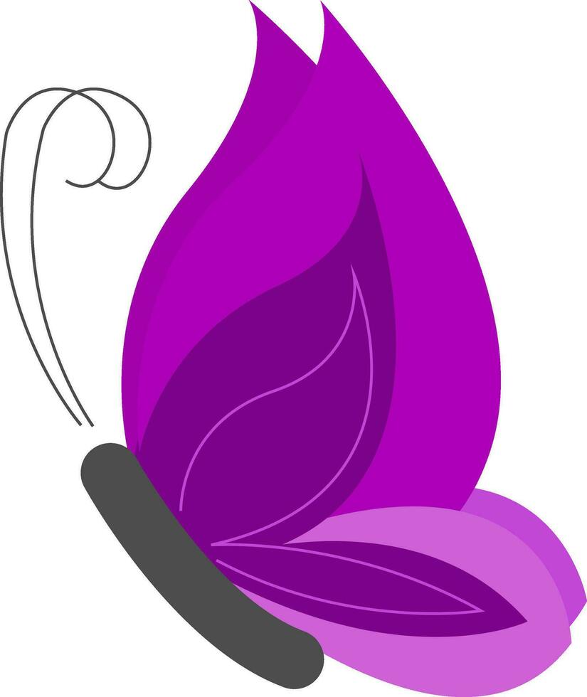 A violet butterfly , vector or color illustration