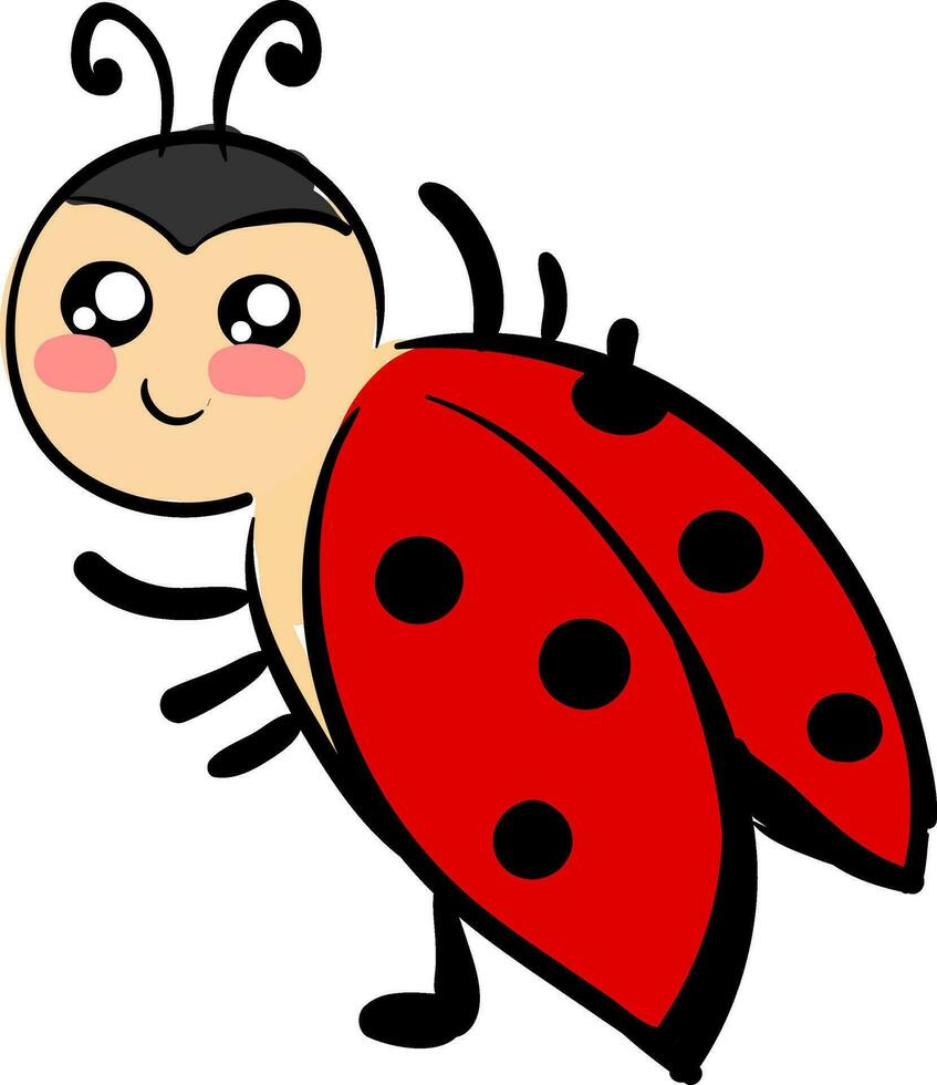 Cute ladybug , vector or color illustration