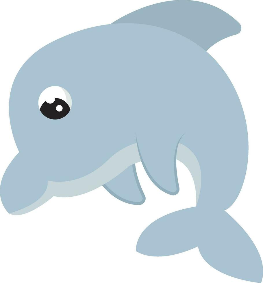 cute dolphin, vector or color illustration