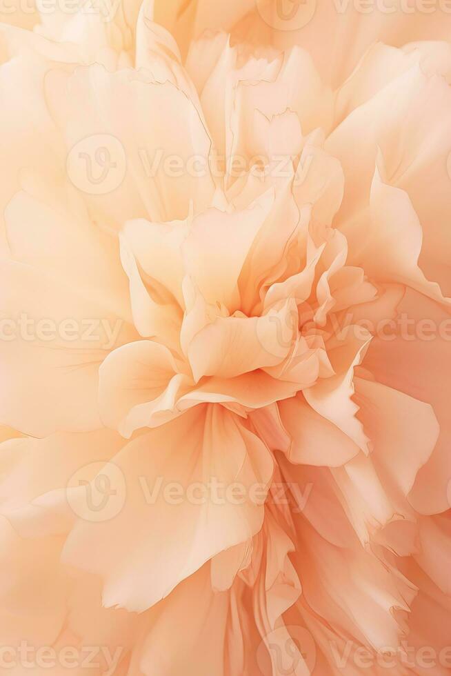 AI generated close up macro shot of carnation flower in peach fuzz color of the year 2024 color photo